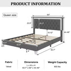 Cadre de lit rembourré Queen Size, lit plateforme moderne en velours avec tête de lit capitonnée